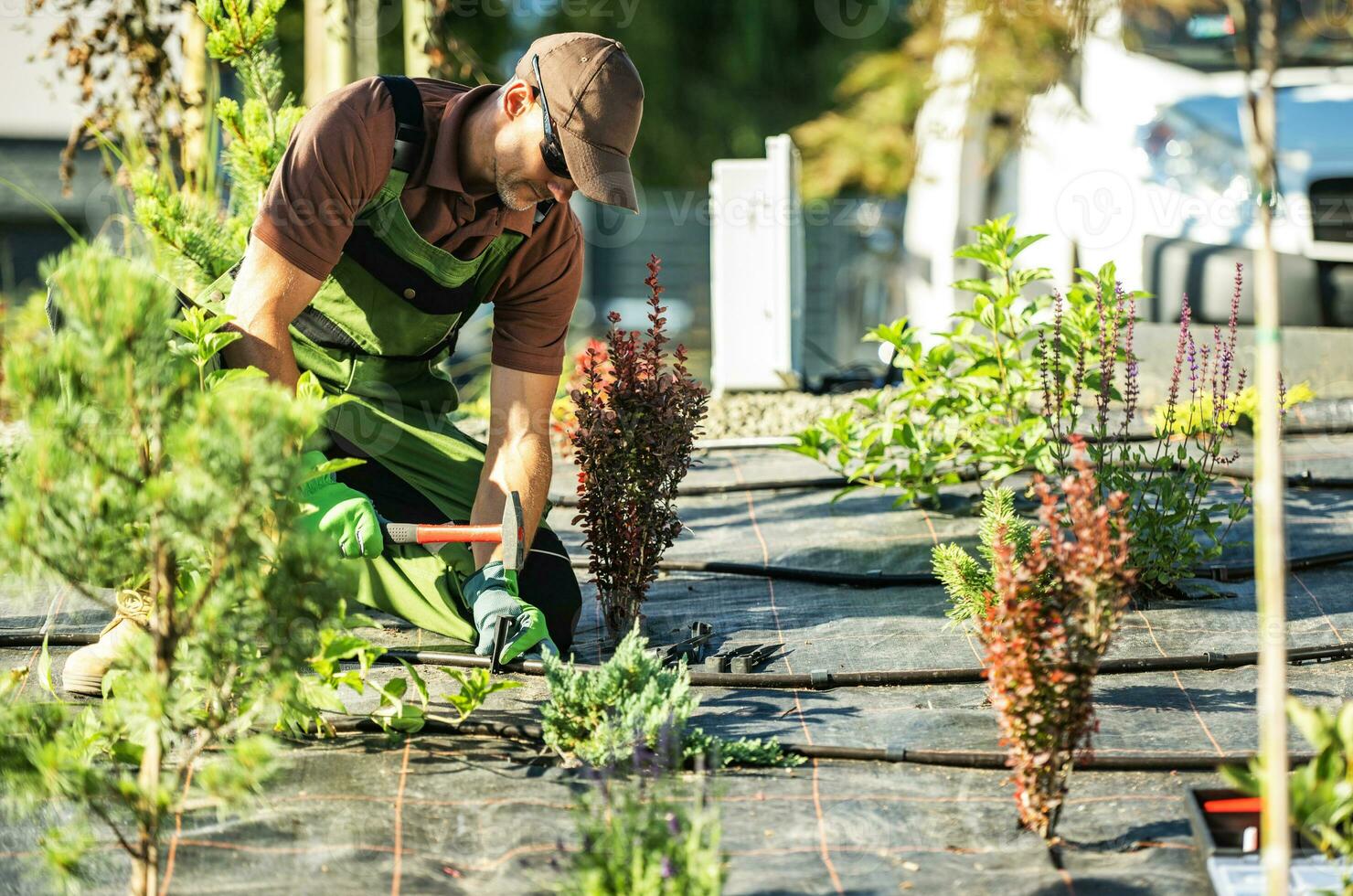 professioneel tuinman installeren tuin irrigatie systeem foto