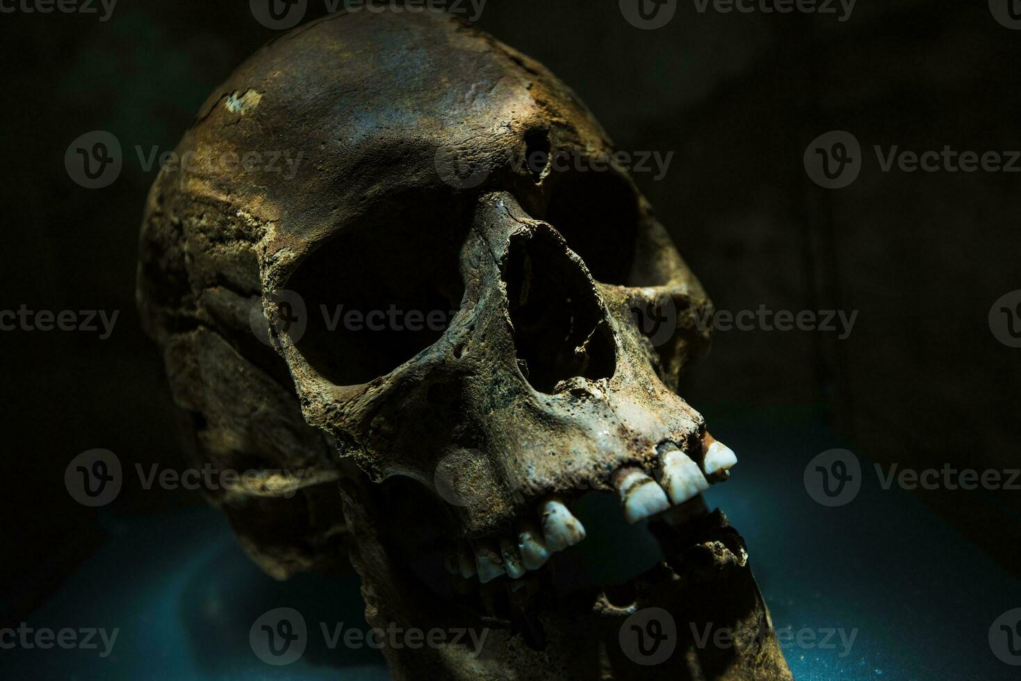 oude menselijk schedel foto