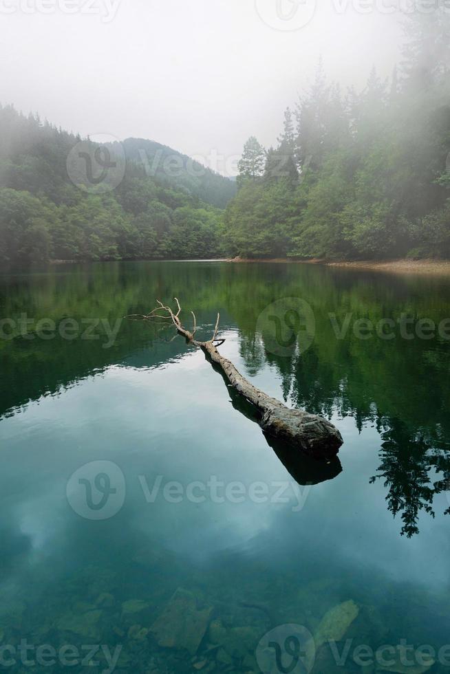 meer in de bergen foto