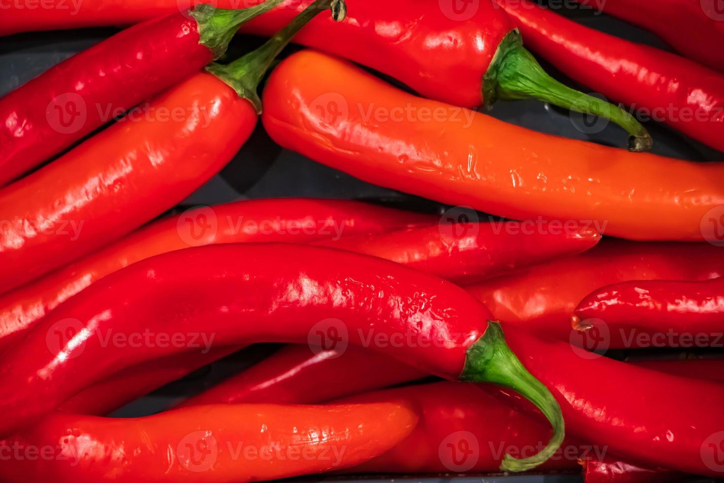 rijpe roodgloeiende chilipepers foto