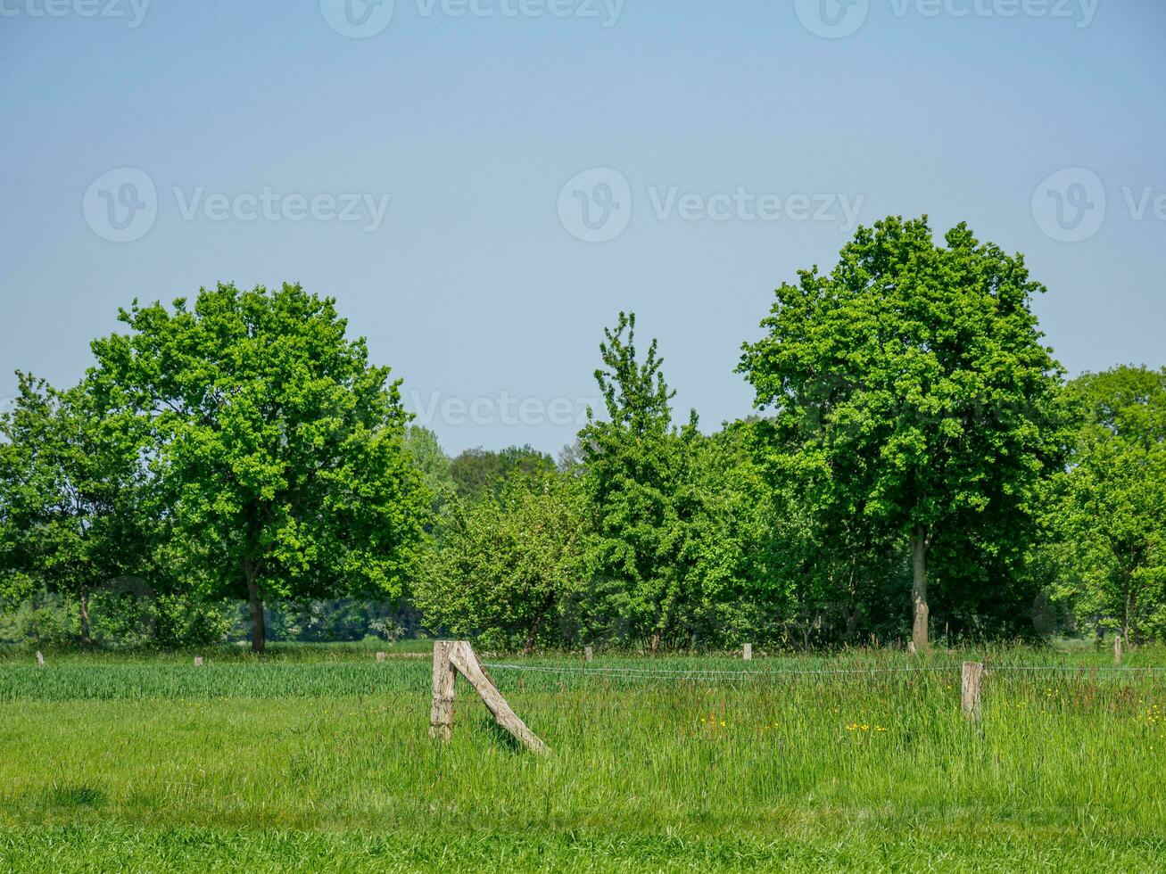 voorjaar tijd in Duitsland foto