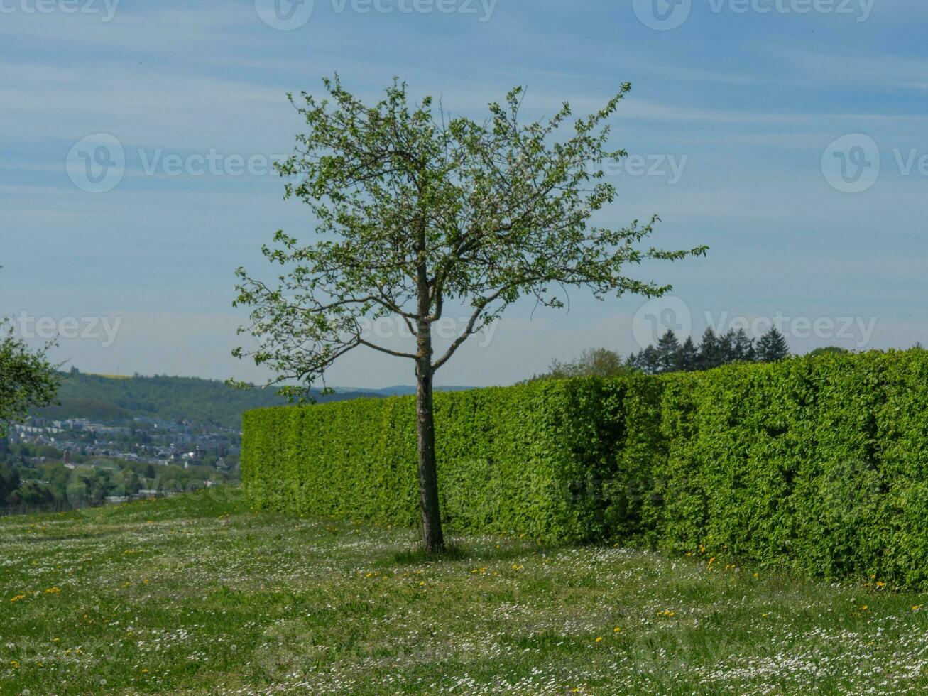 de oud stad van Trier Bij de Moezel rivier- in Duitsland foto