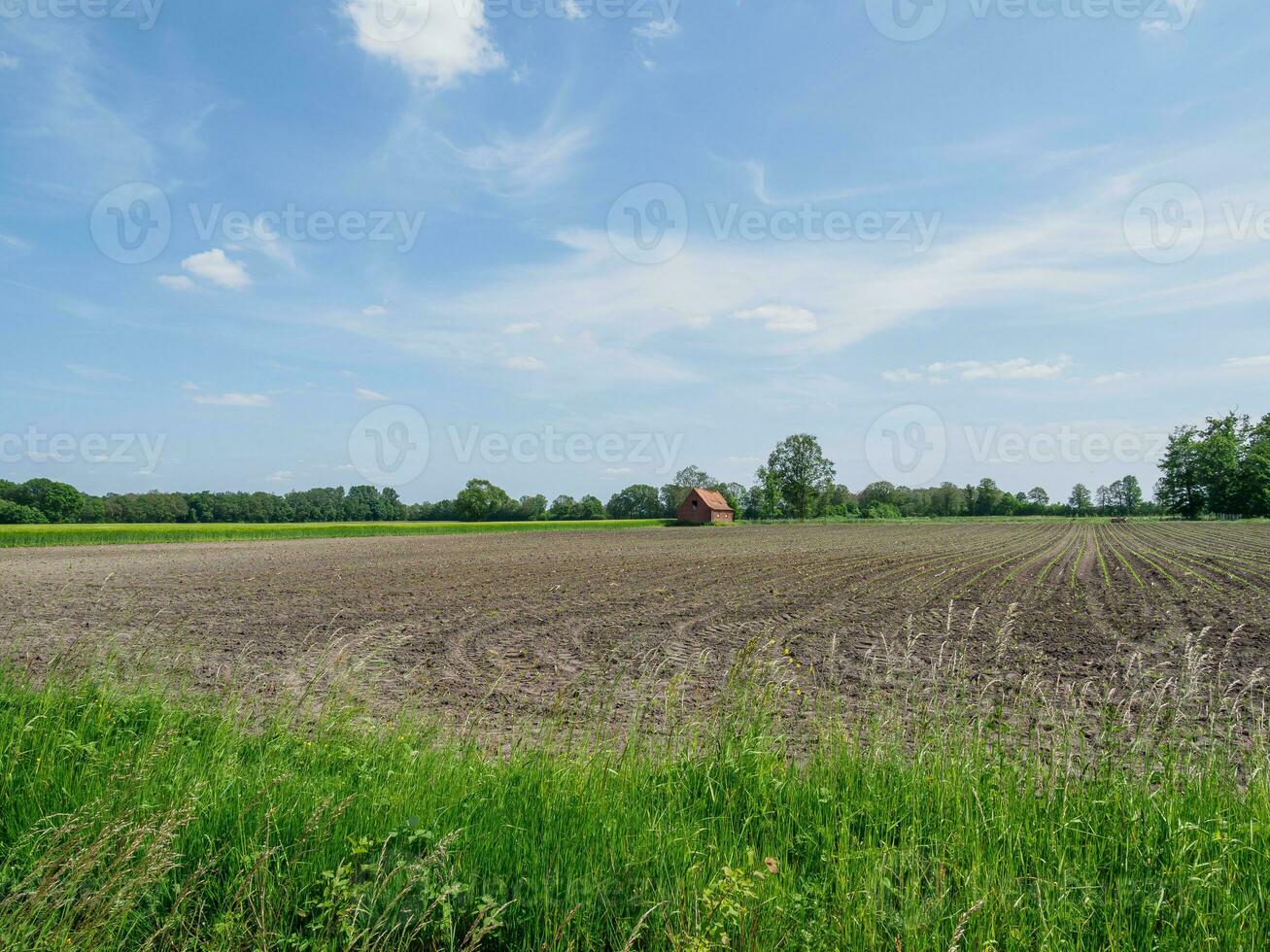 voorjaar tijd in Westfalen foto