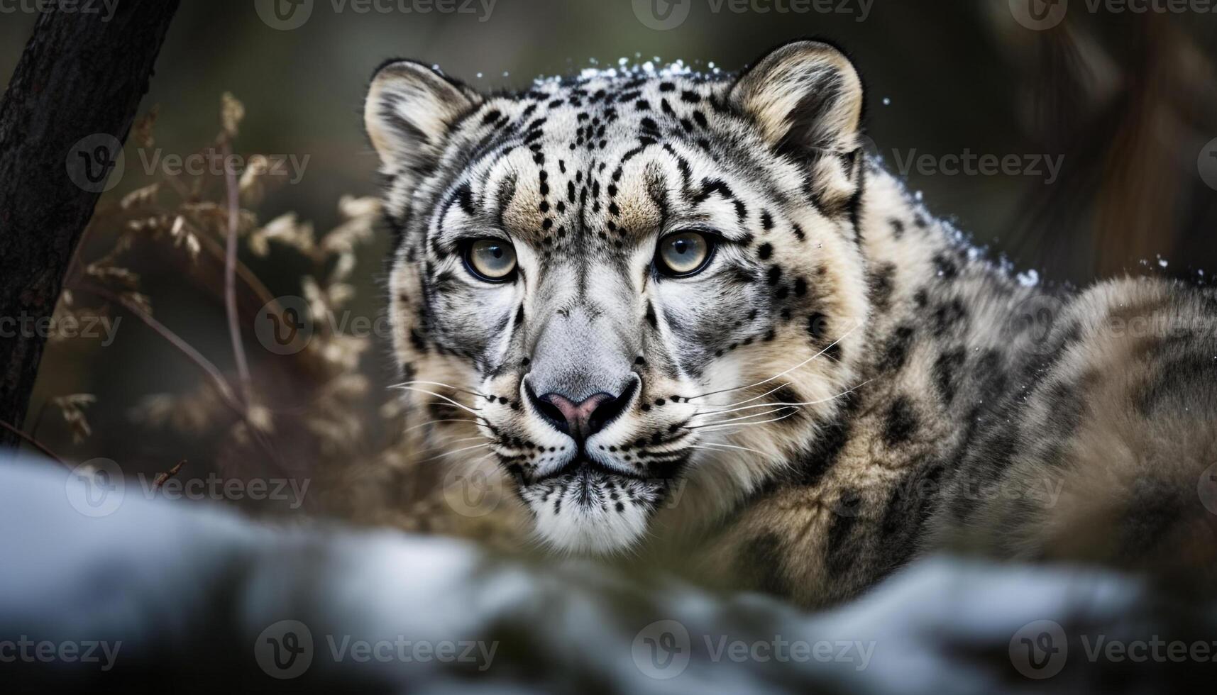 Bengalen tijger staren, gestreept vacht in focus gegenereerd door ai foto