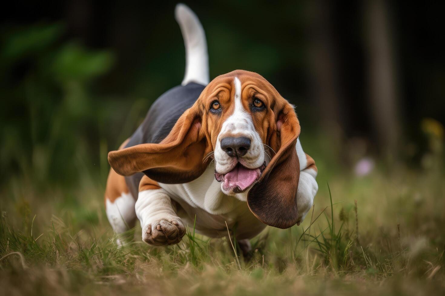 portret van een mooi volwassen basset hond rennen in de gras ai gegenereerd foto