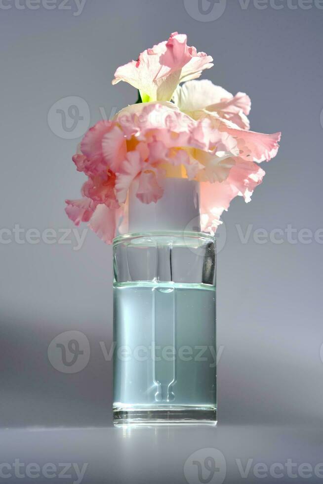 serum met een druppelaar met voorjaar bloemen. foto