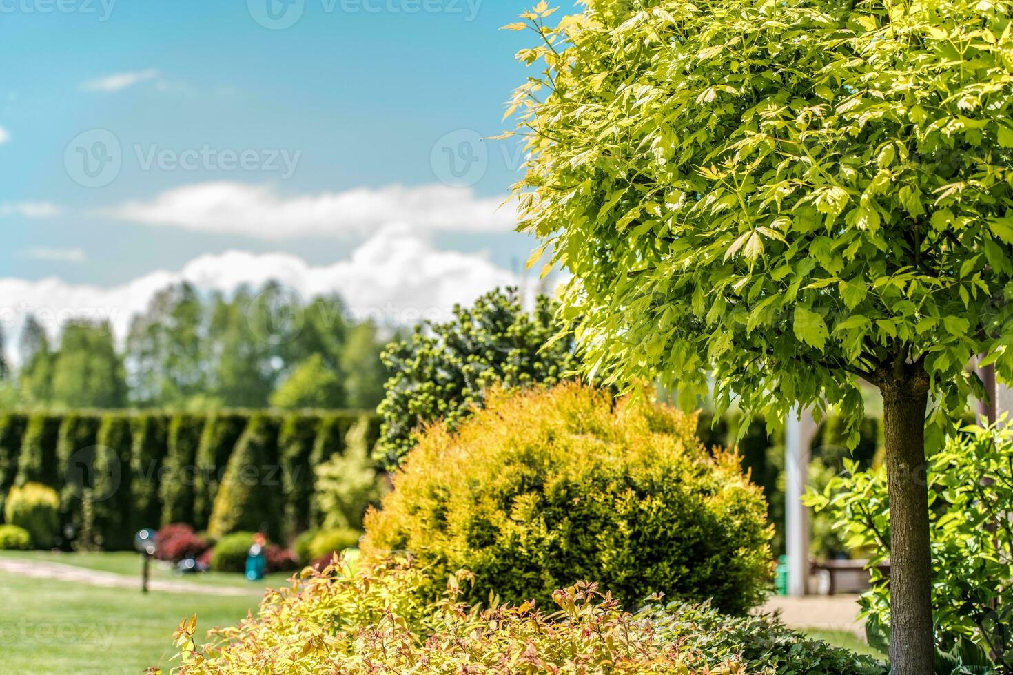 klein achtertuin tuin foto