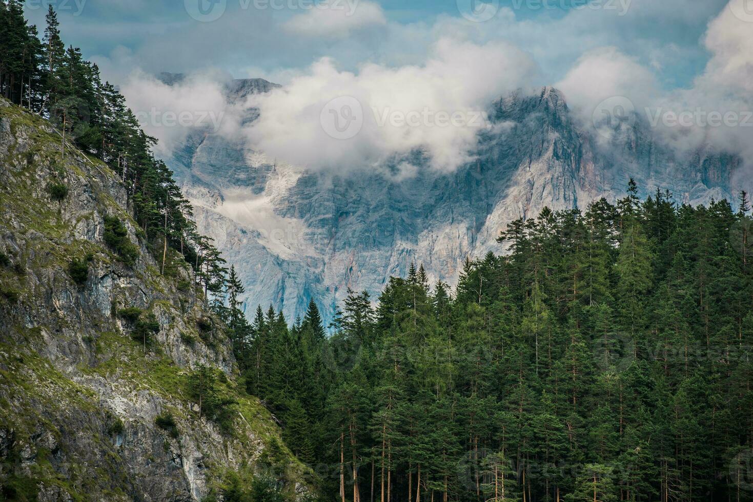 oostenrijks Alpen toneel- uitzicht met bos- foto