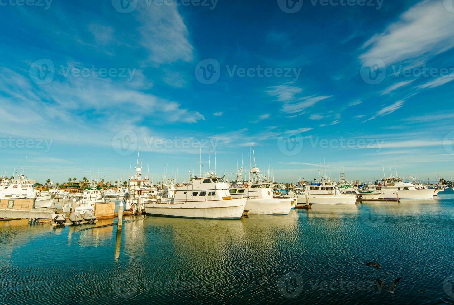 san Diego jachthaven foto