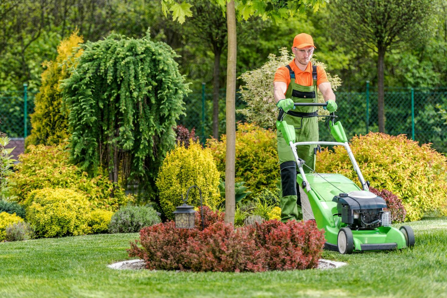 professioneel tuinman nemen zorg van achtertuin gazon foto