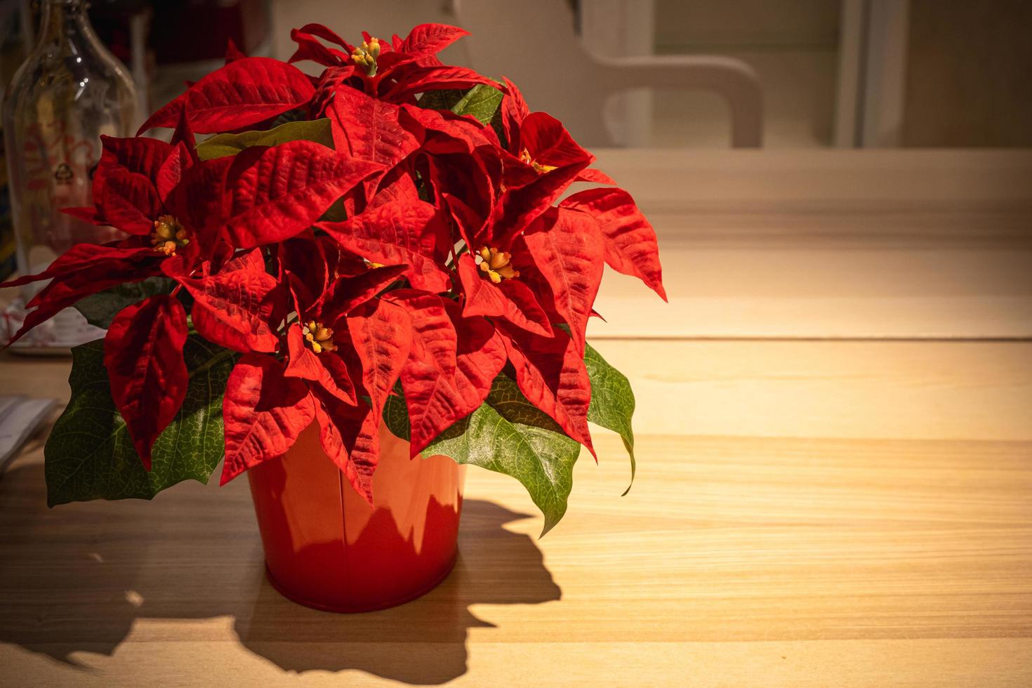 kerst bloem poinsettia in de rode pot op houten tafel foto