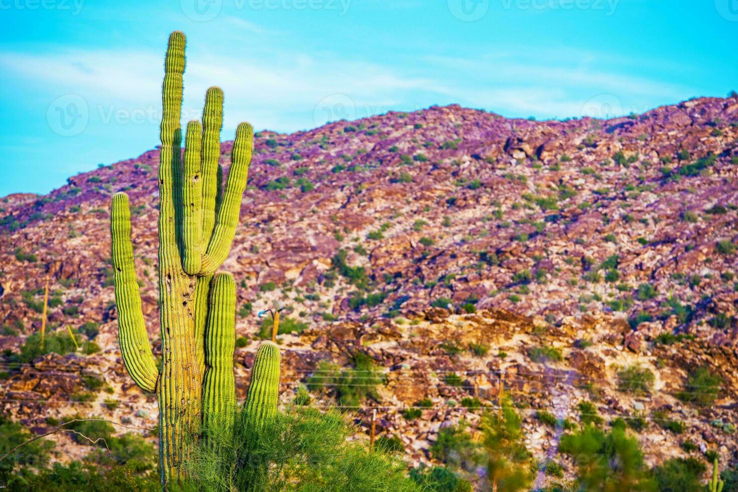 rauw Arizona landschap foto