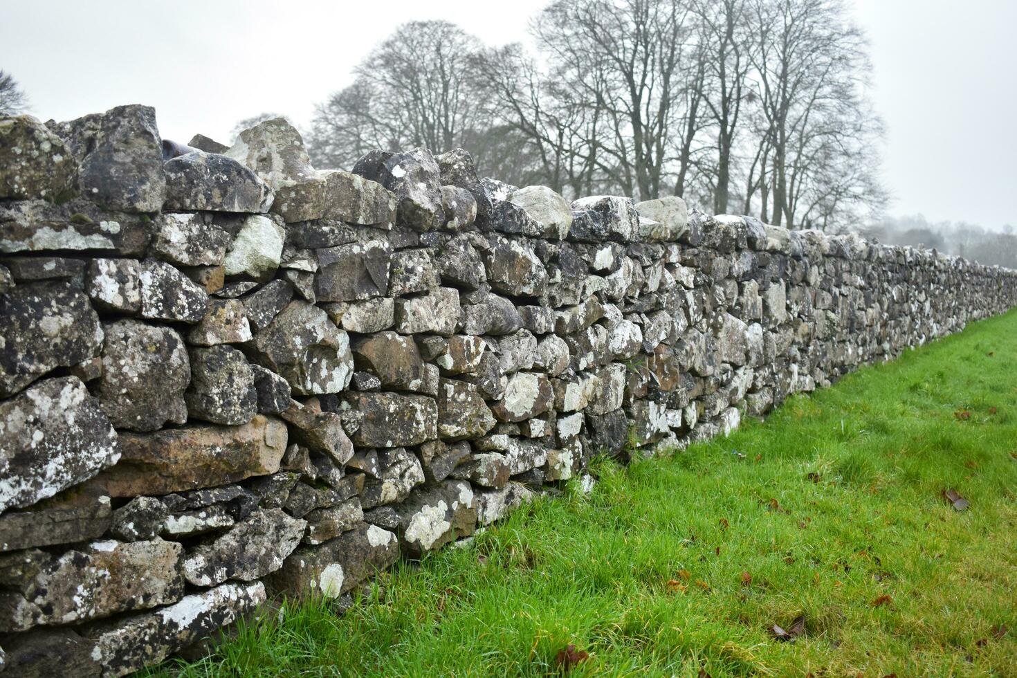 steen muren in Ierland foto