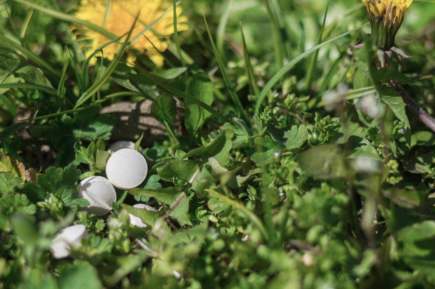 witte pillen in het gras met bloemen foto