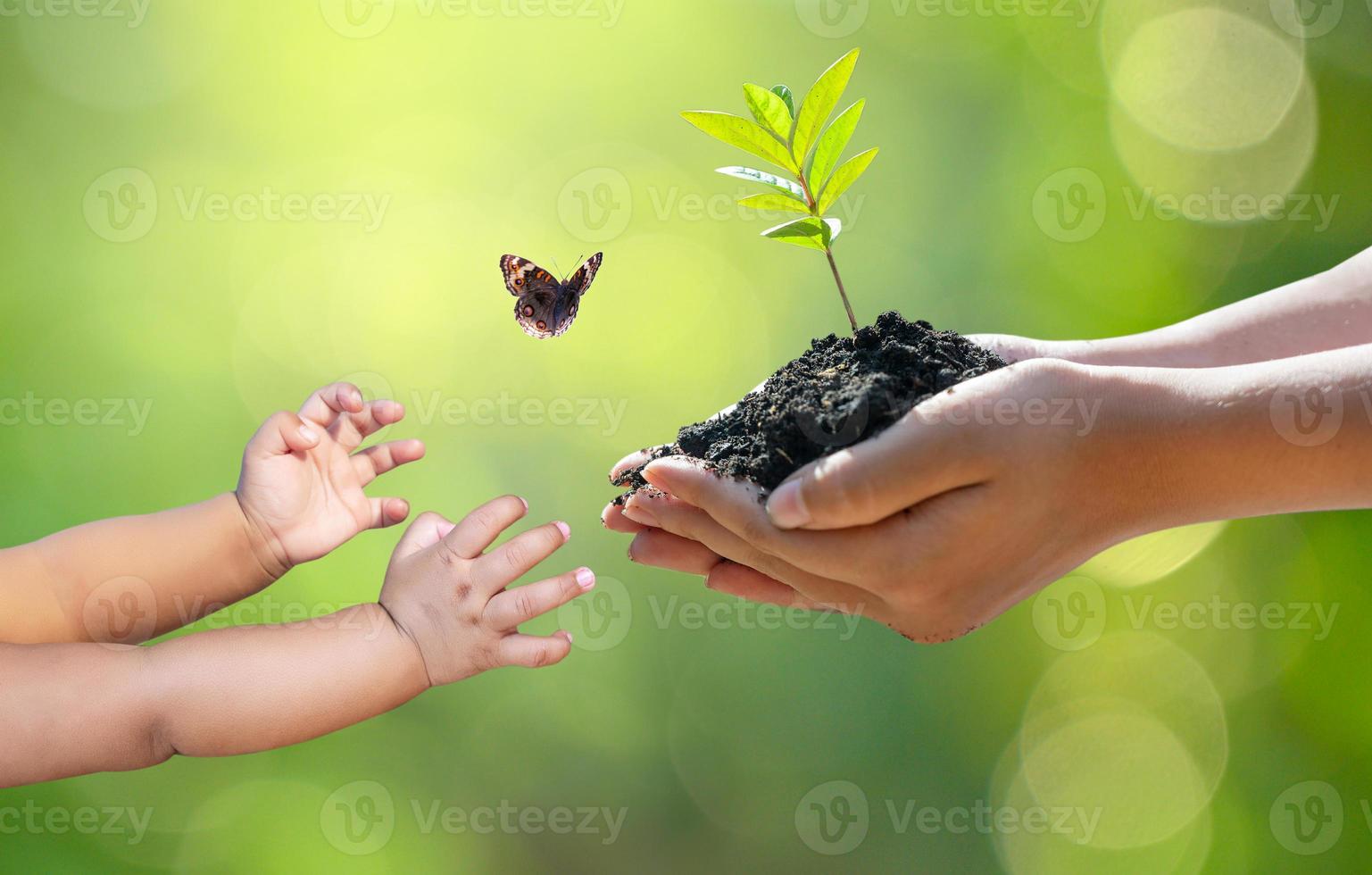 concept van handen die zaailingen op bokeh groene achtergrond kweken foto