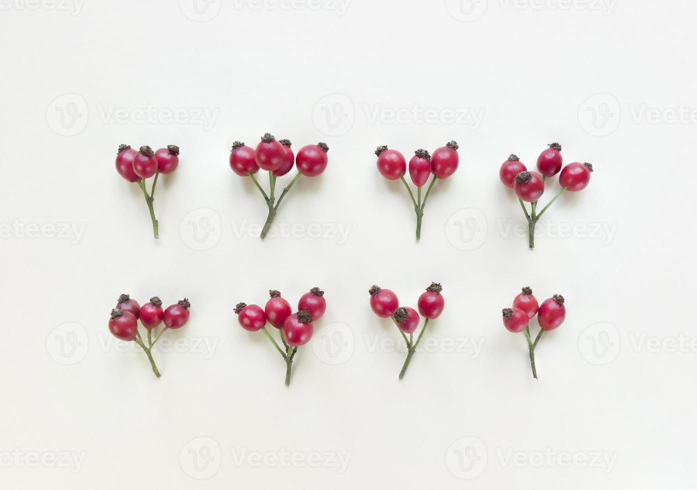 rozenbottels takken op een beige achtergrond symmetrie plat leggen foto