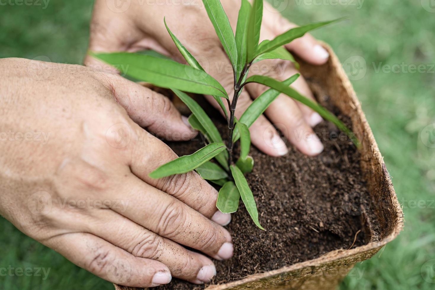 plant een boom in recycle bloempot concept van de aarde redden en het milieu wereld aarde dag foto