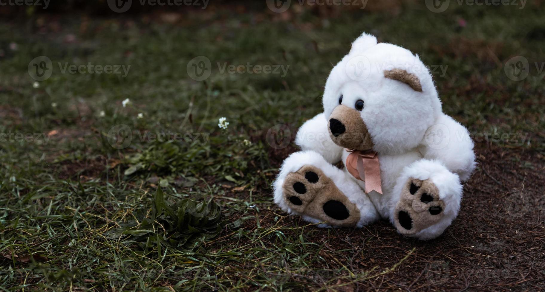 verloren verlaten zachte pluche teddybeer foto