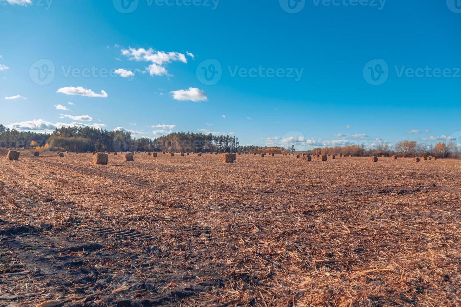 prachtig landschap van het platteland foto