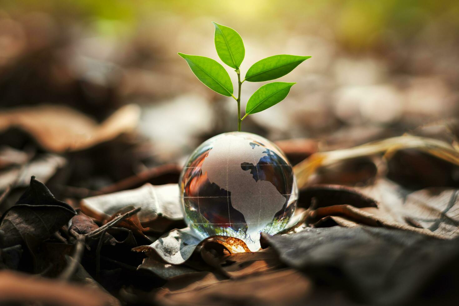 glas wereldbol bal met boom groeit en groen natuur vervagen achtergrond. eco concept foto