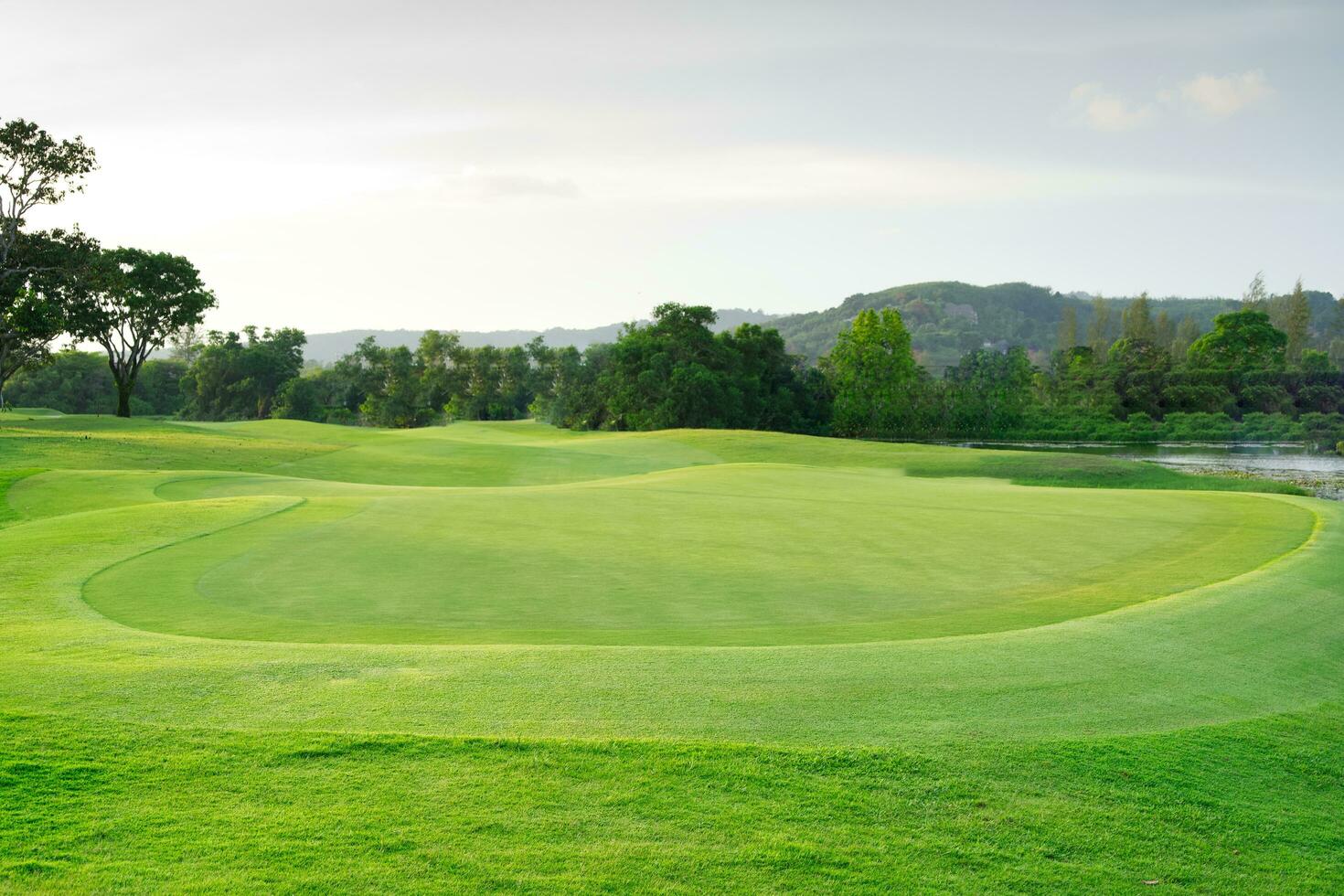 mooi golf Cursus visie, golf Cursus met mooi zetten groente, vers groen gras Aan de golf Cursus foto