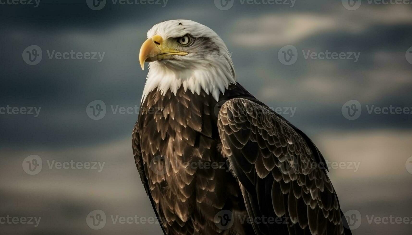 majestueus vogel van prooi stijgend in vrijheid gegenereerd door ai foto