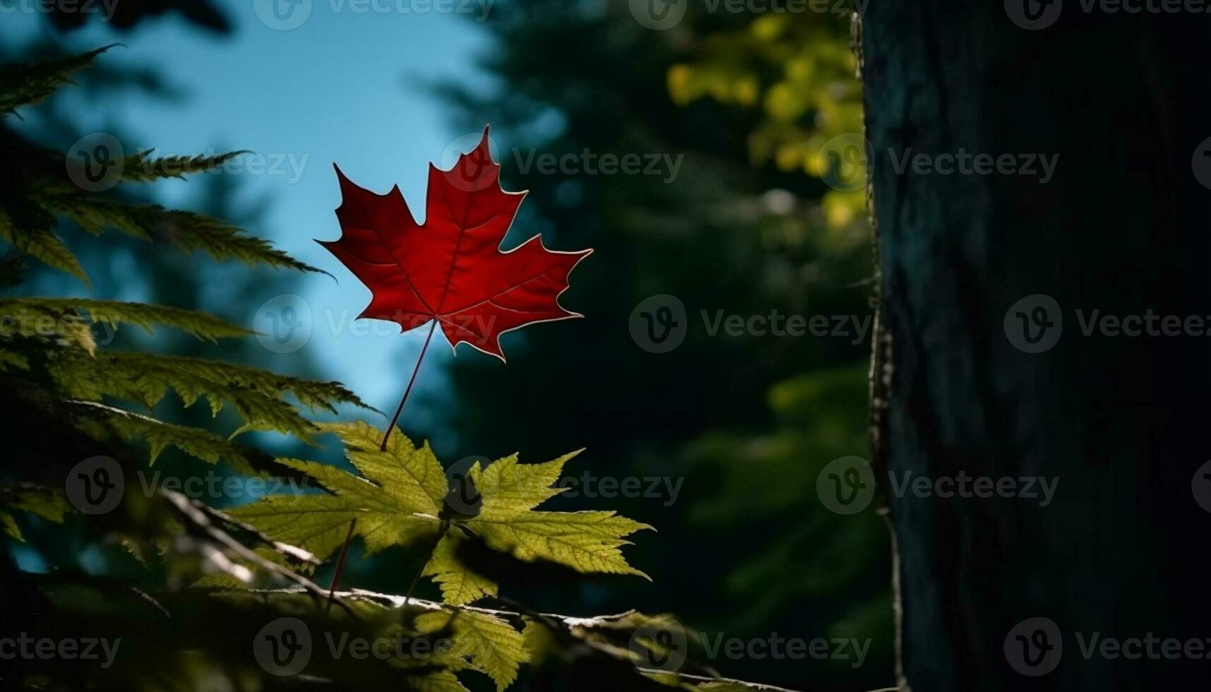 levendig herfst kleuren Aan Japans esdoorn- boom generatief ai foto
