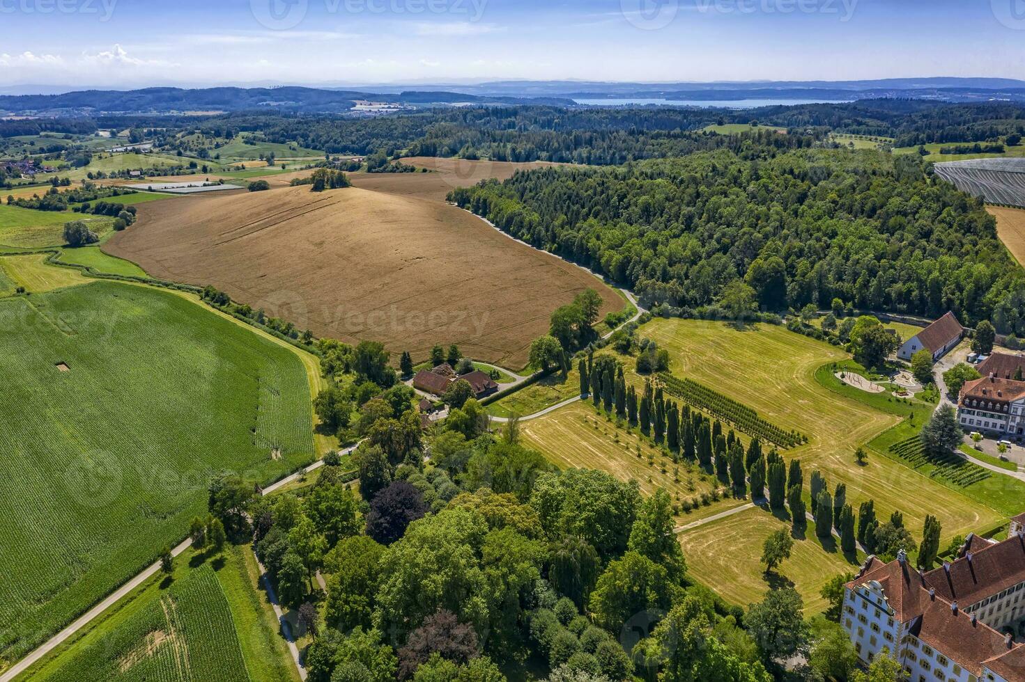 antenne visie van dar van mooi vers groen gecultiveerd velden in Duitsland foto