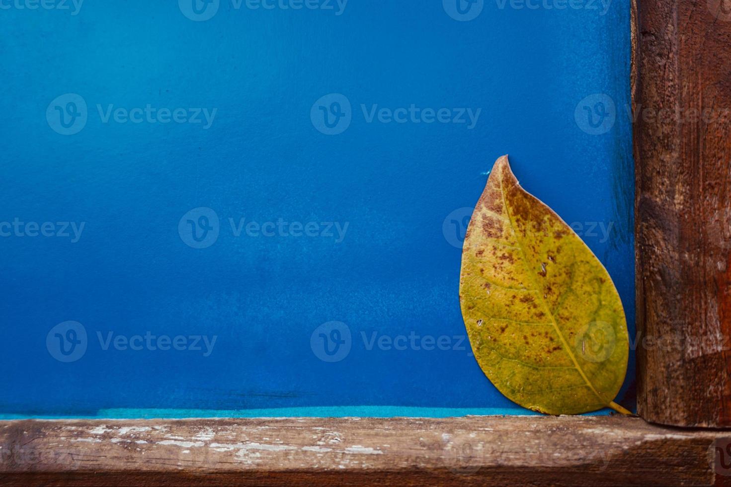 geel blad in de herfst foto