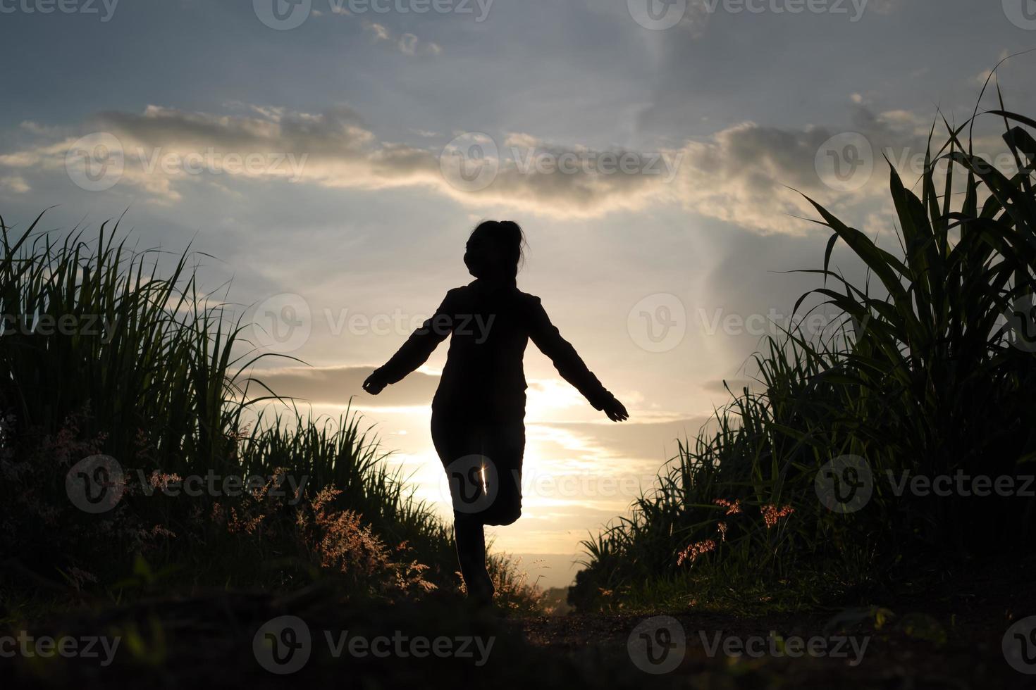 boer vrouw silhouet staande in de suikerriet plantage op de achtergrond zonsondergang avond foto