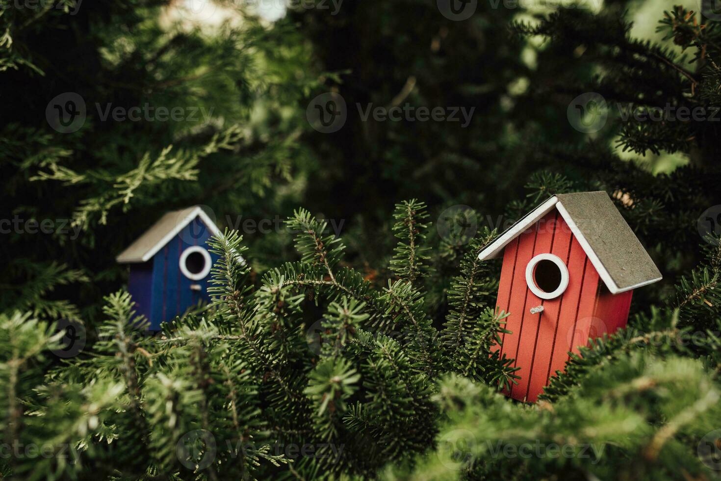 handgemaakt vogel huizen gemaakt van planken Aan boom takken - helder kleuren van natuur - liefde voor de dier wereld en zorg foto