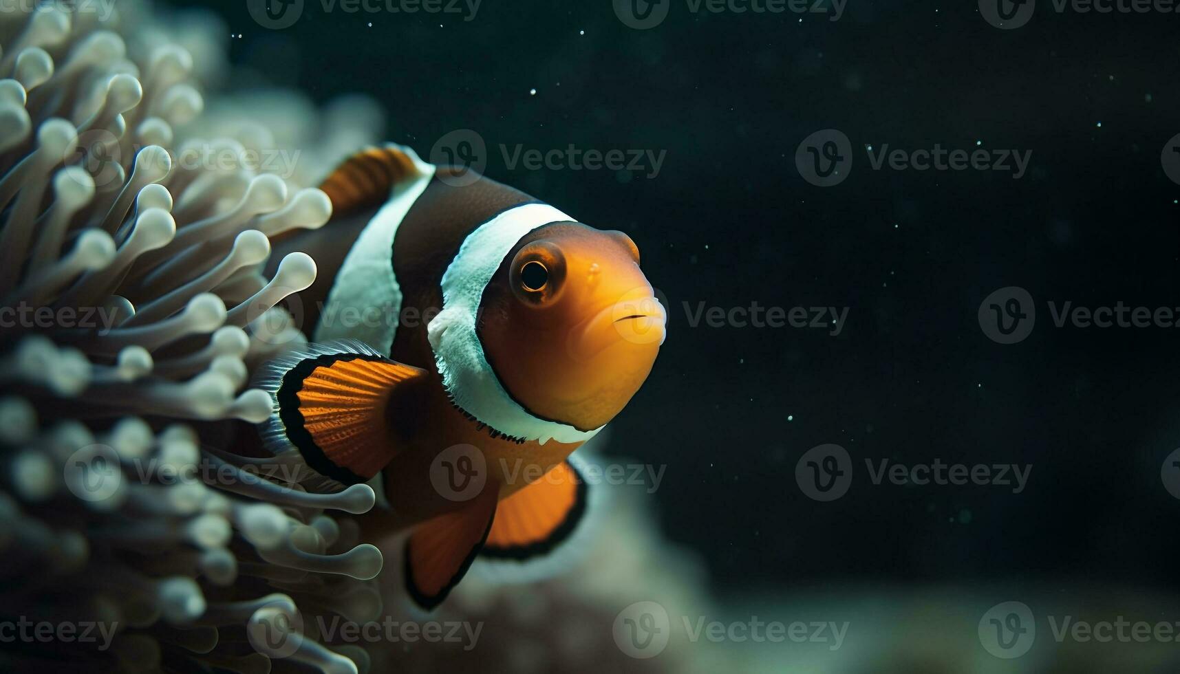 een dichtbij omhoog van een schattig clown vis zwemmen in koraal gegenereerd door ai foto