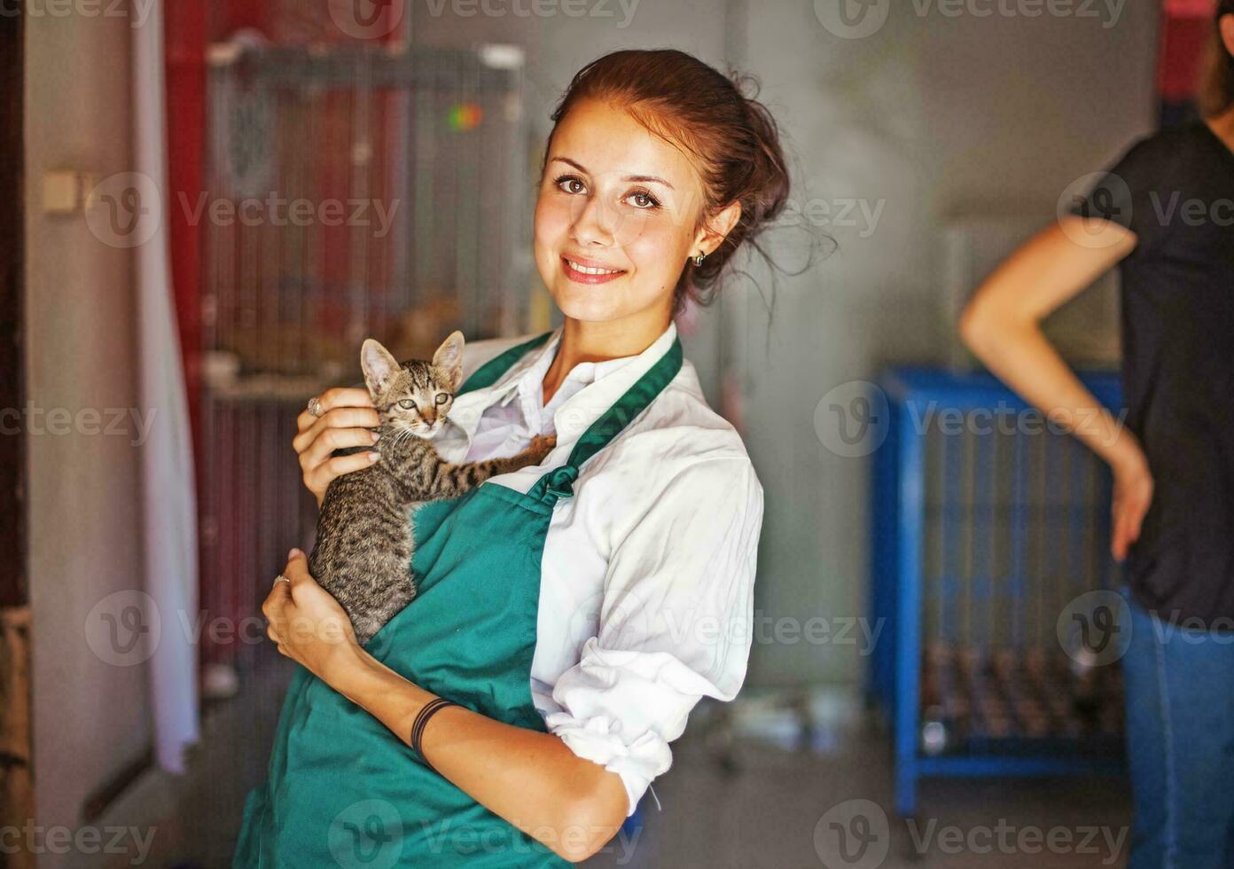 vrouw werken in dier onderdak foto