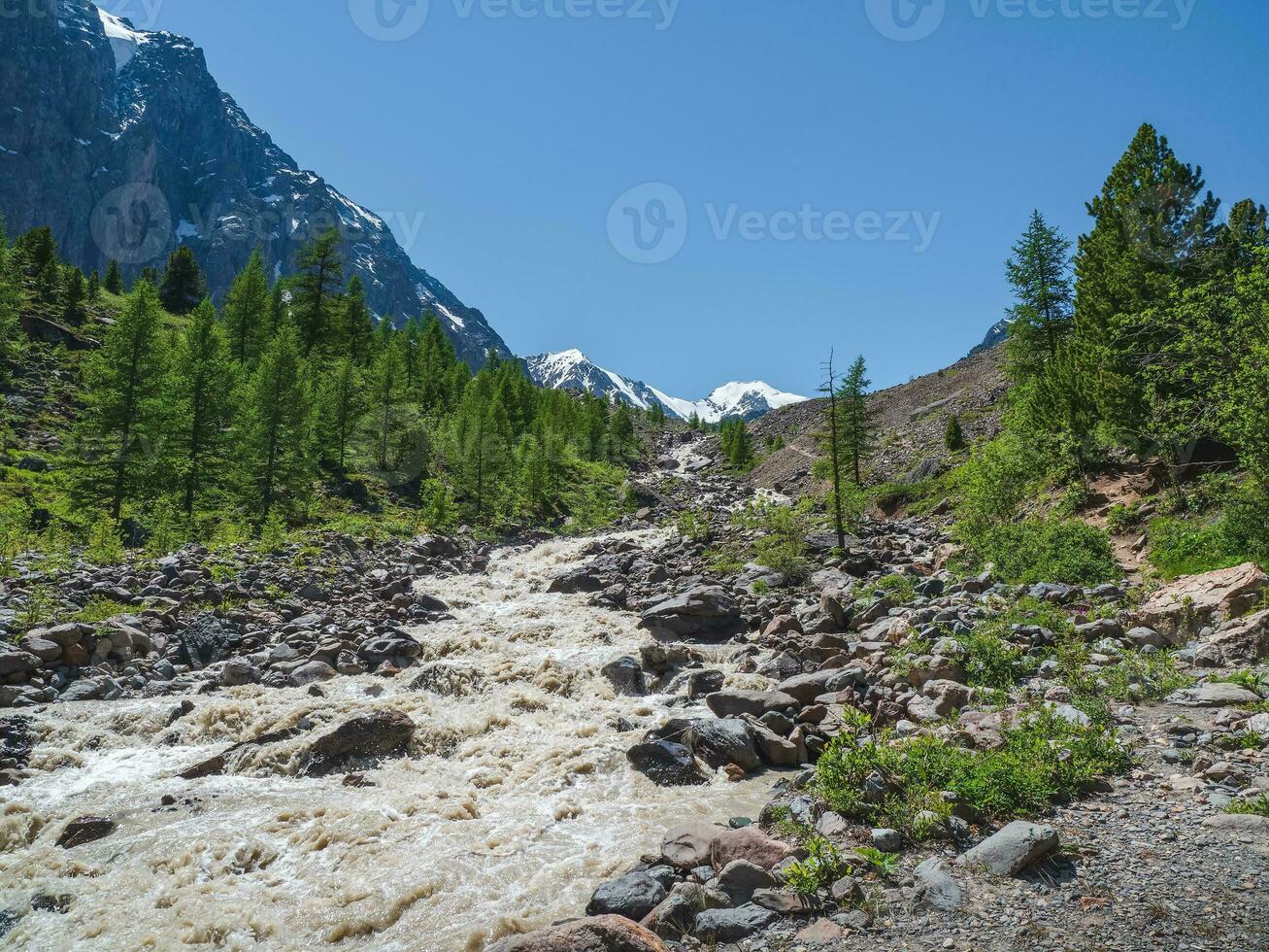 berg stormachtig rivier- vloeiende van de smelten winter sneeuw. geweldig hoogland landschap met mooi glaciaal streams tussen zonovergoten heuvels en rotsen. wandelen spoor naar actie. altai bergen. foto