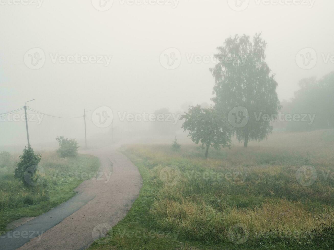 mistig zomer dorp weg. zacht focus foto