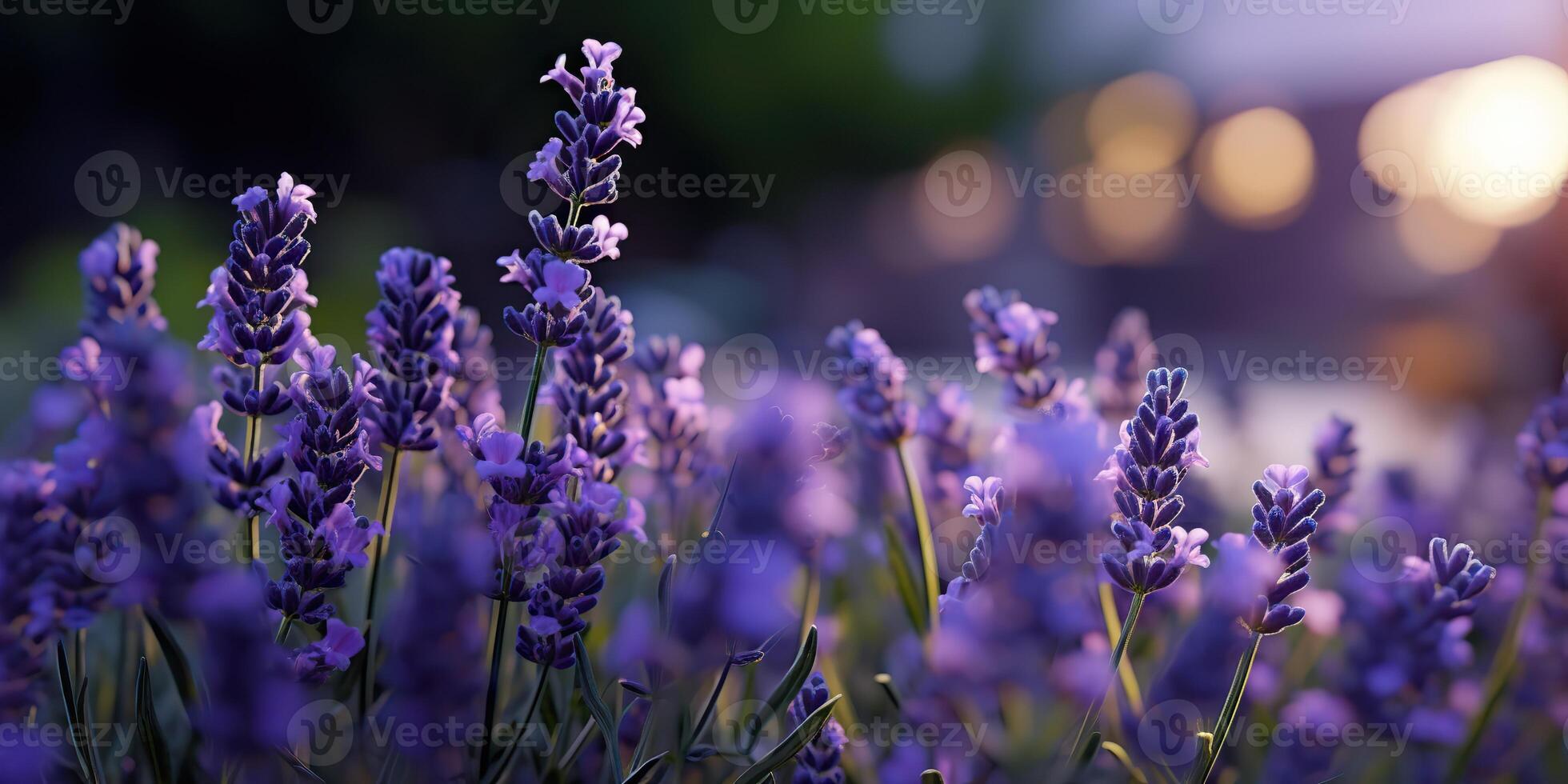 ai gegenereerd. ai generatief. lavendel fabriek bloem macro schot foto illustratie. grafisch kunst