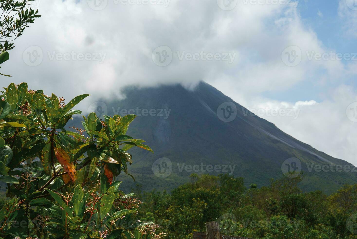 een weelderig tuin in la fortuin, costa rica met arenal vulkaan in de achtergrond foto