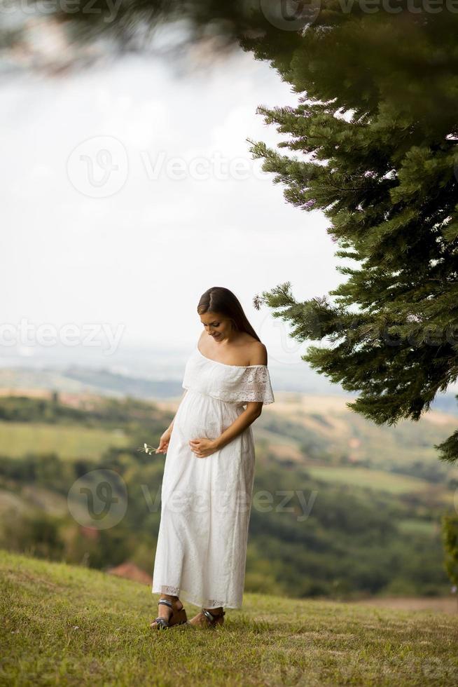 jonge zwangere vrouw in het bos foto