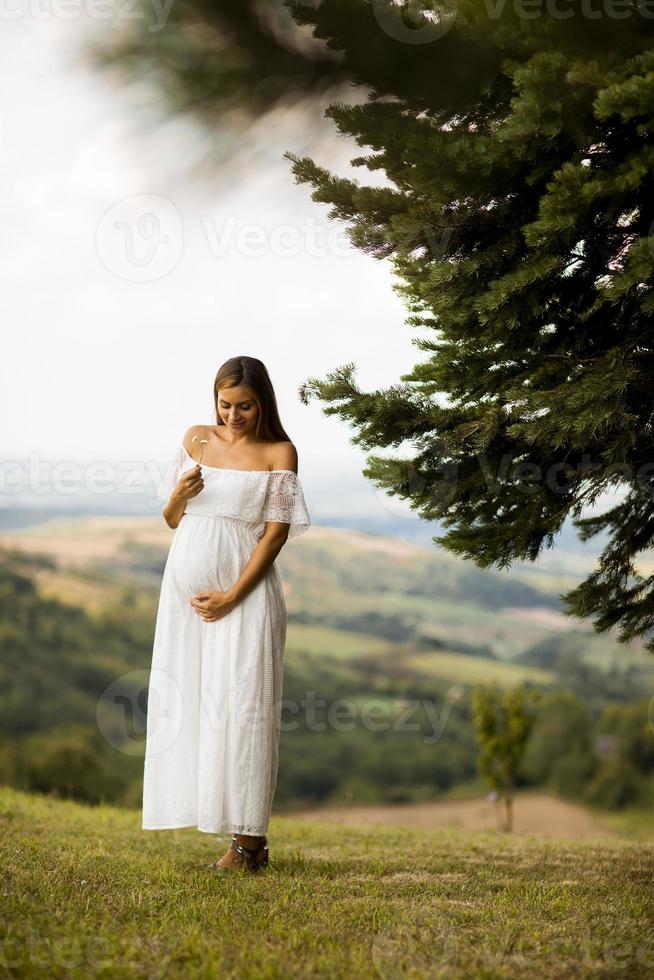 jonge zwangere vrouw in het bos foto