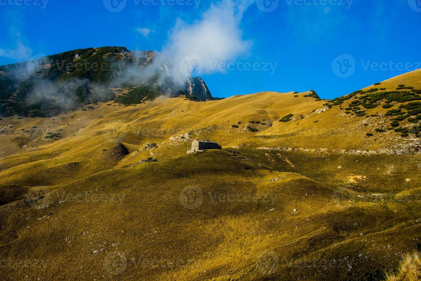 hut tussen de gele herfstvelden op de Alpen foto