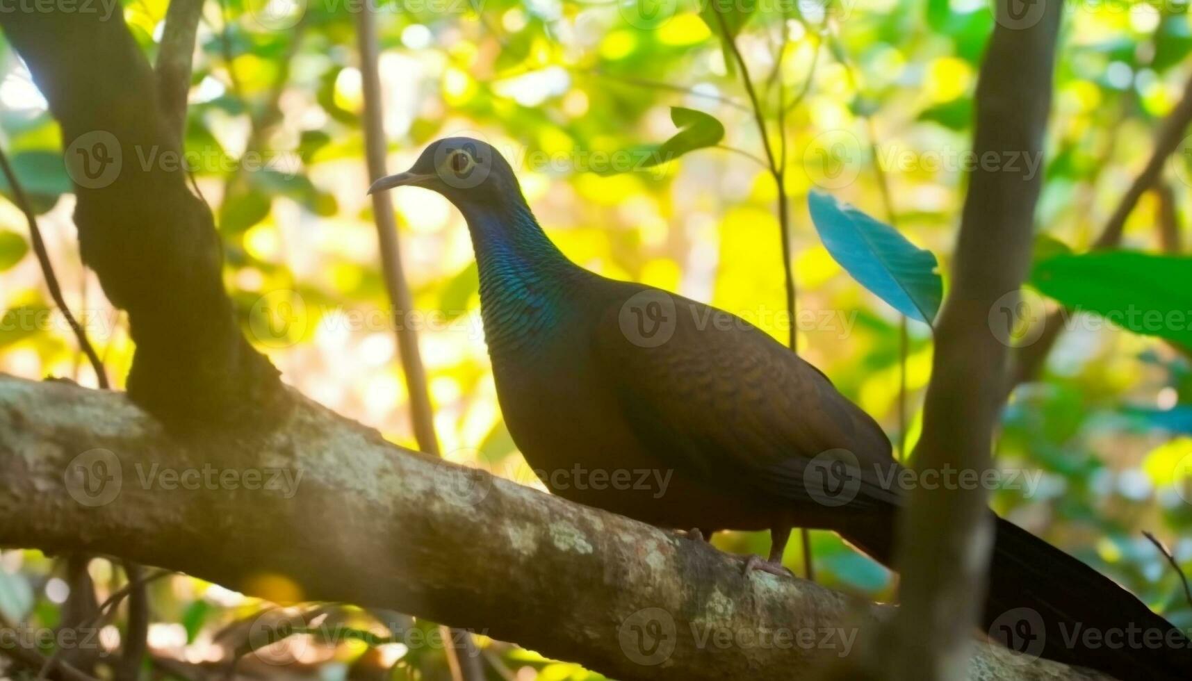 helder gevederde vogel neerstrijken Aan tak, schoonheid in natuur kleuren gegenereerd door ai foto