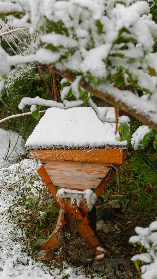 houten bijenkorf tijdens het winterseizoen foto