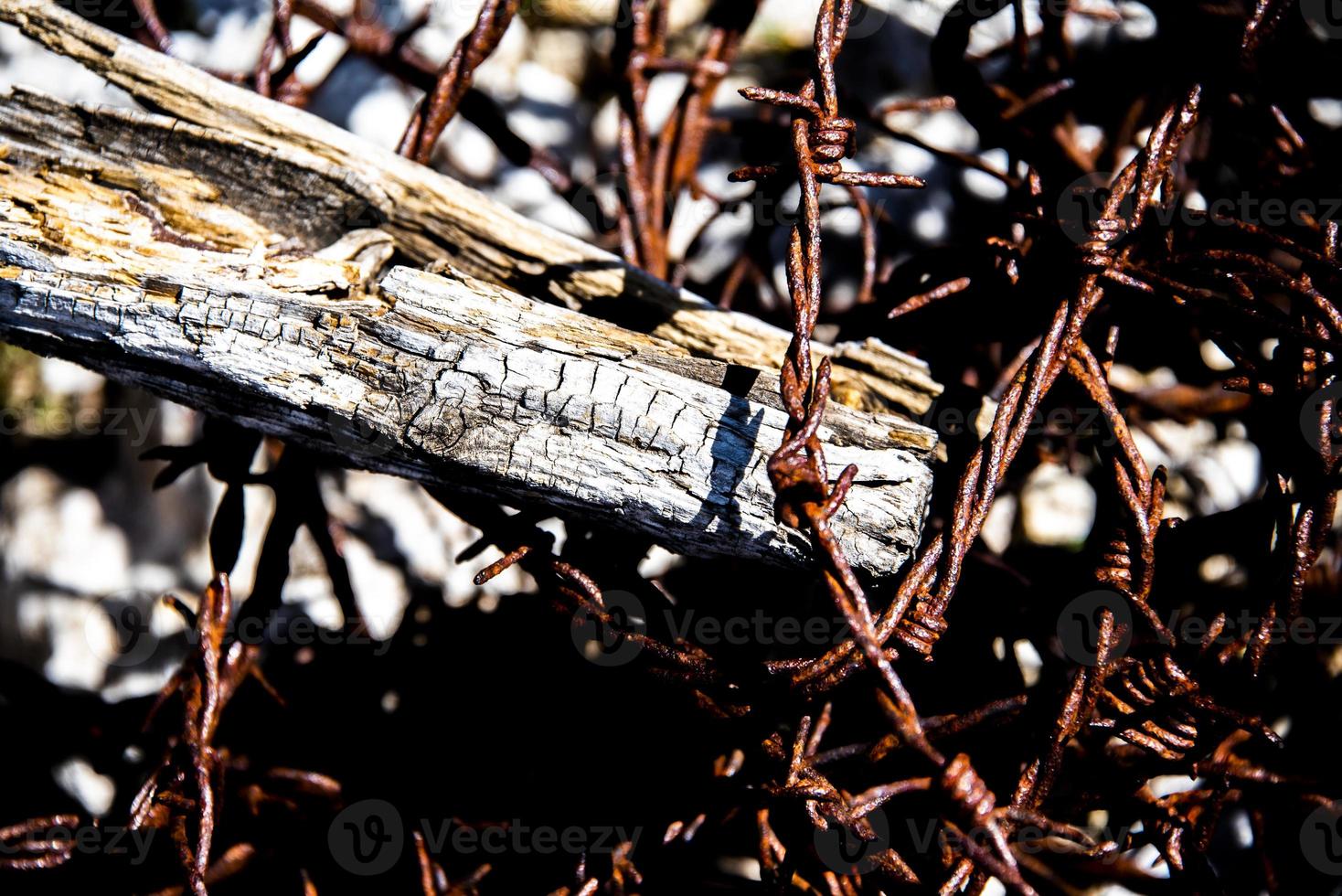 hout en prikkeldraad foto