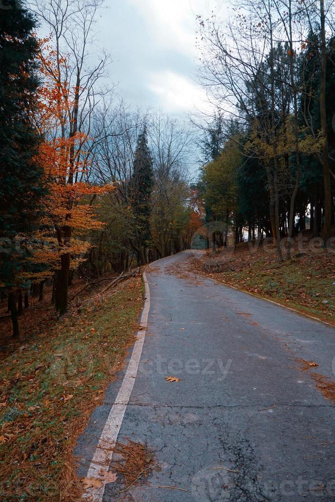 weg in de bergen in de herfstseizoen foto