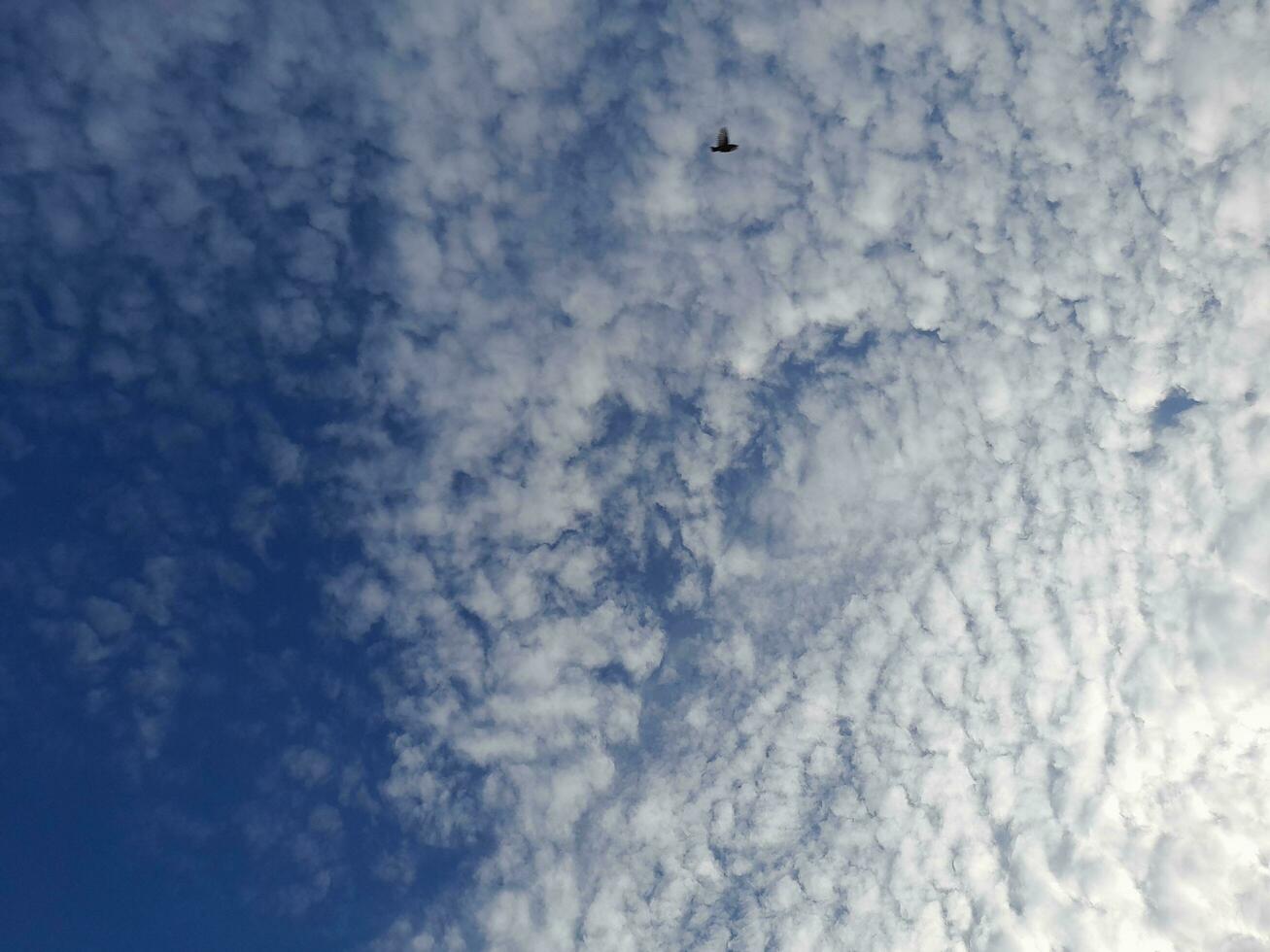 de wit wolken Aan de blauw lucht zijn perfect voor de achtergrond. hemellandschap Aan lombok eiland, Indonesië foto