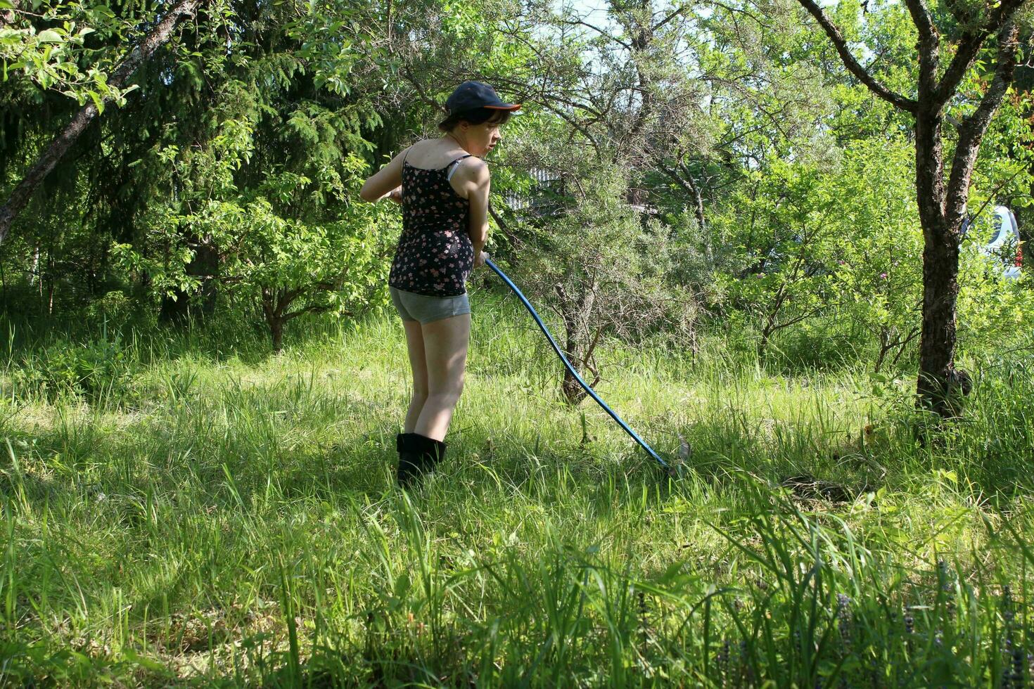 Sankt petersburg Rusland - 06 18 2023 jong vrouw boer in tuin snijdend onkruid haver gras met sikkel zeis gereedschap in groen zomer in Rusland door hek foto