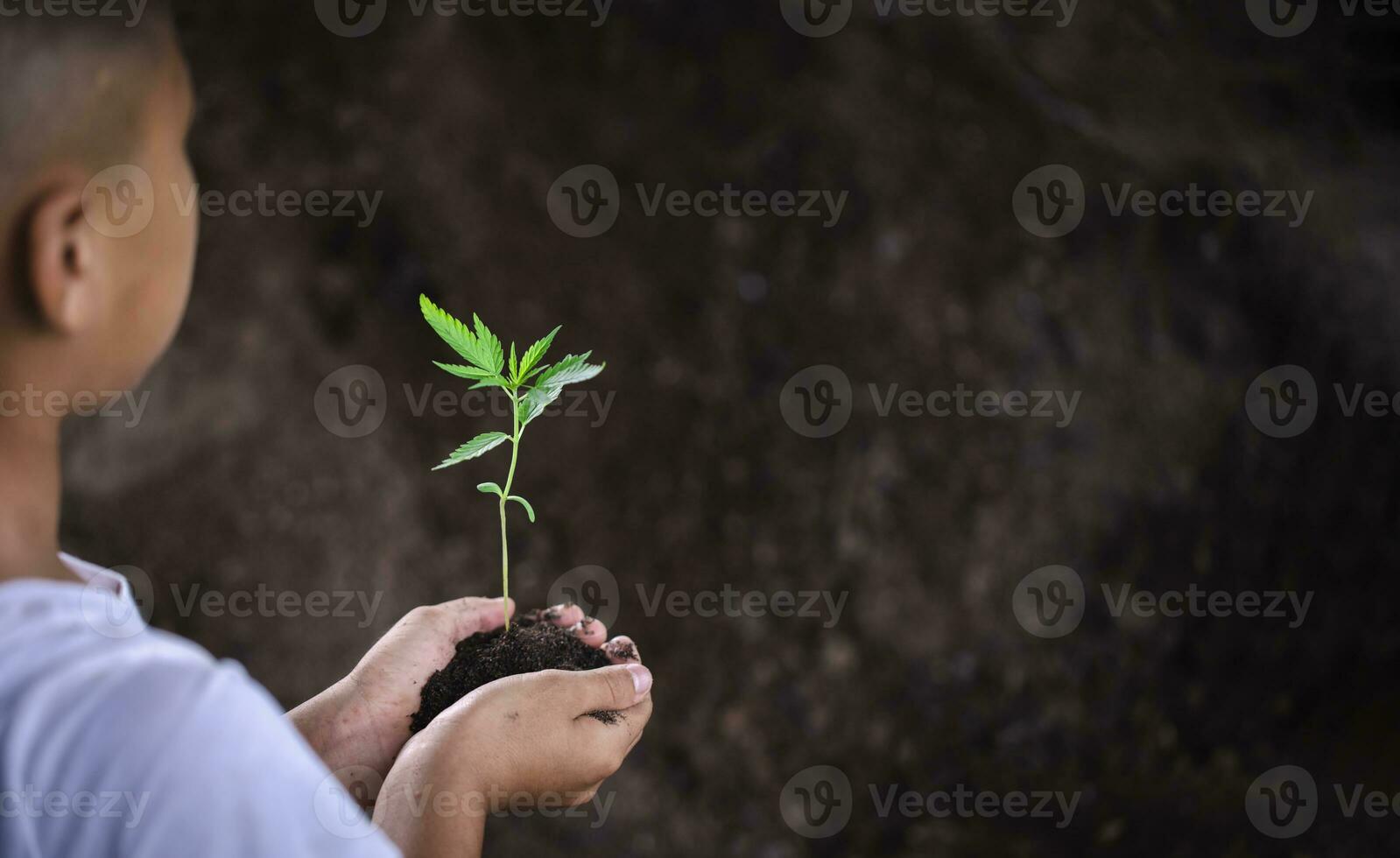 een boom in de handen van een kind Aan de achtergrond van droog en gebarsten bodem, fabriek een boom, verminderen globaal opwarming, de lente, wereld milieu dag, eco aarde dag foto