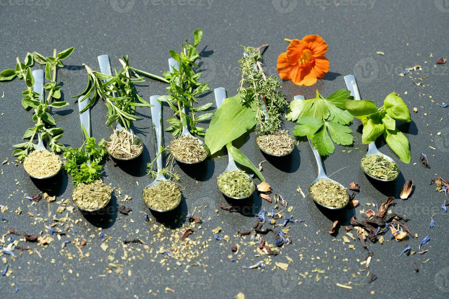 vers en droog kruiden en specerijen van allemaal over- de wereld foto