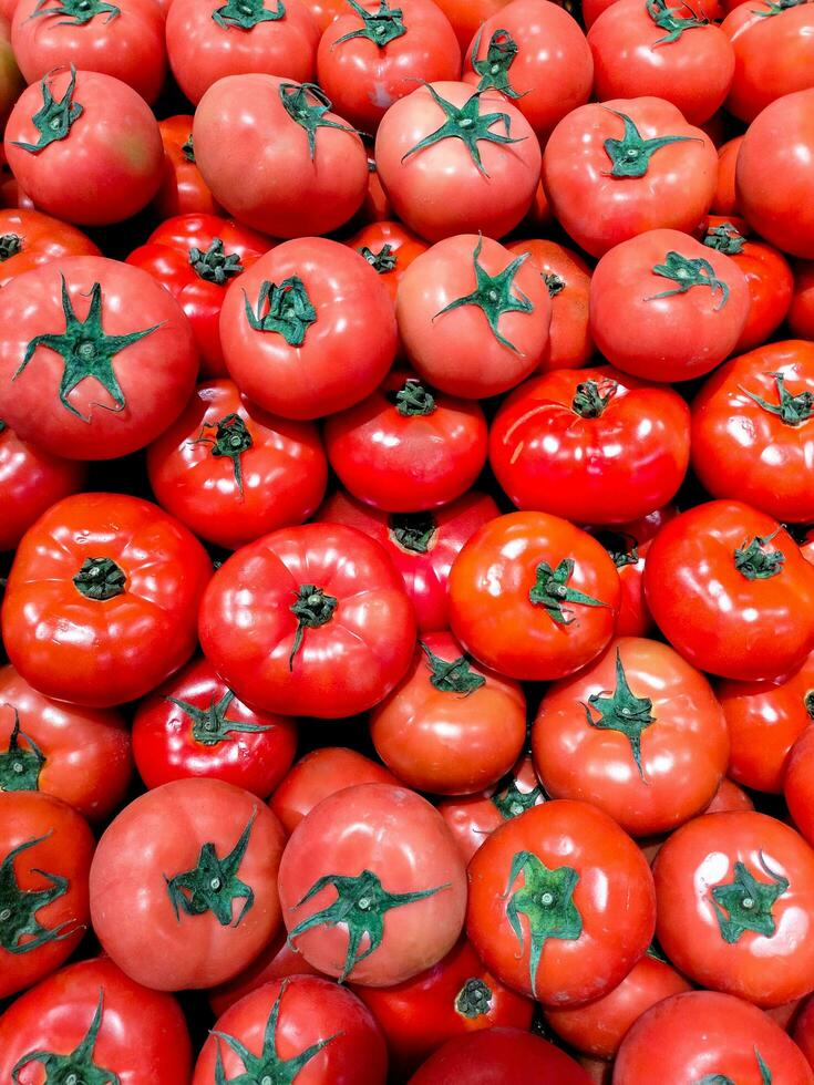 selectief visie van tomaten de hoofd voedsel bron van de antioxidant lycopeen welke kan verminderen de risico van hart ziekte en kanker. solanum lycopersicum foto