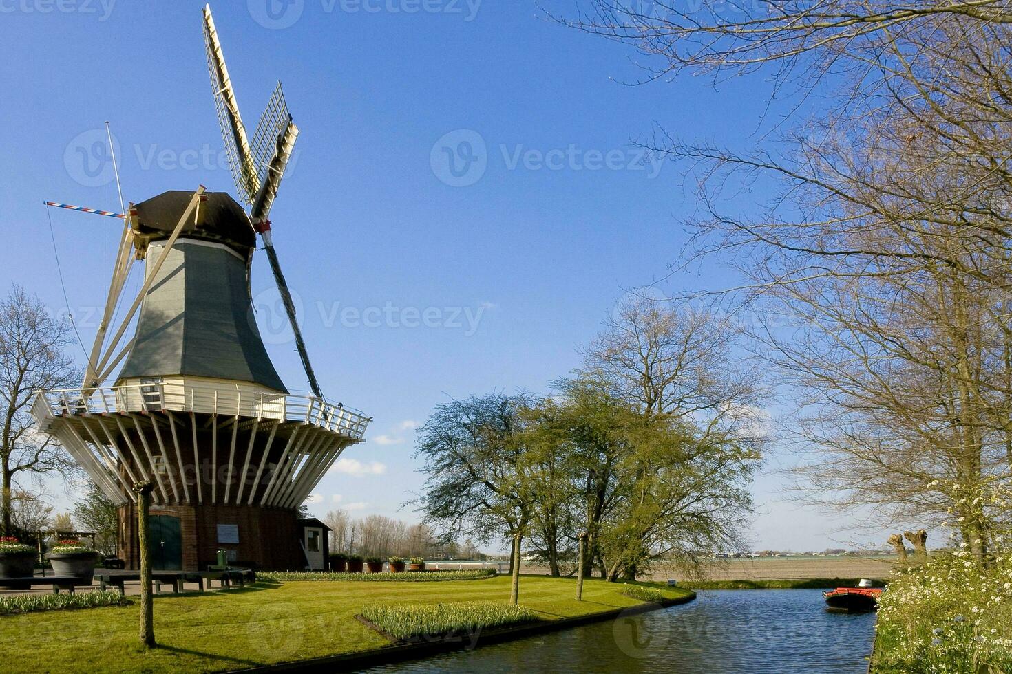 Nederland kleurrijk landschap en bloemen foto